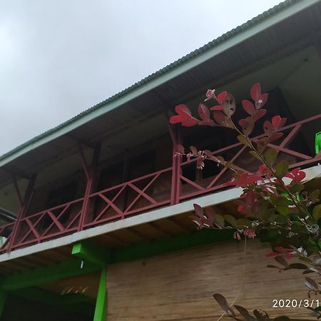 Green Forest Tangkahan Habitación foto