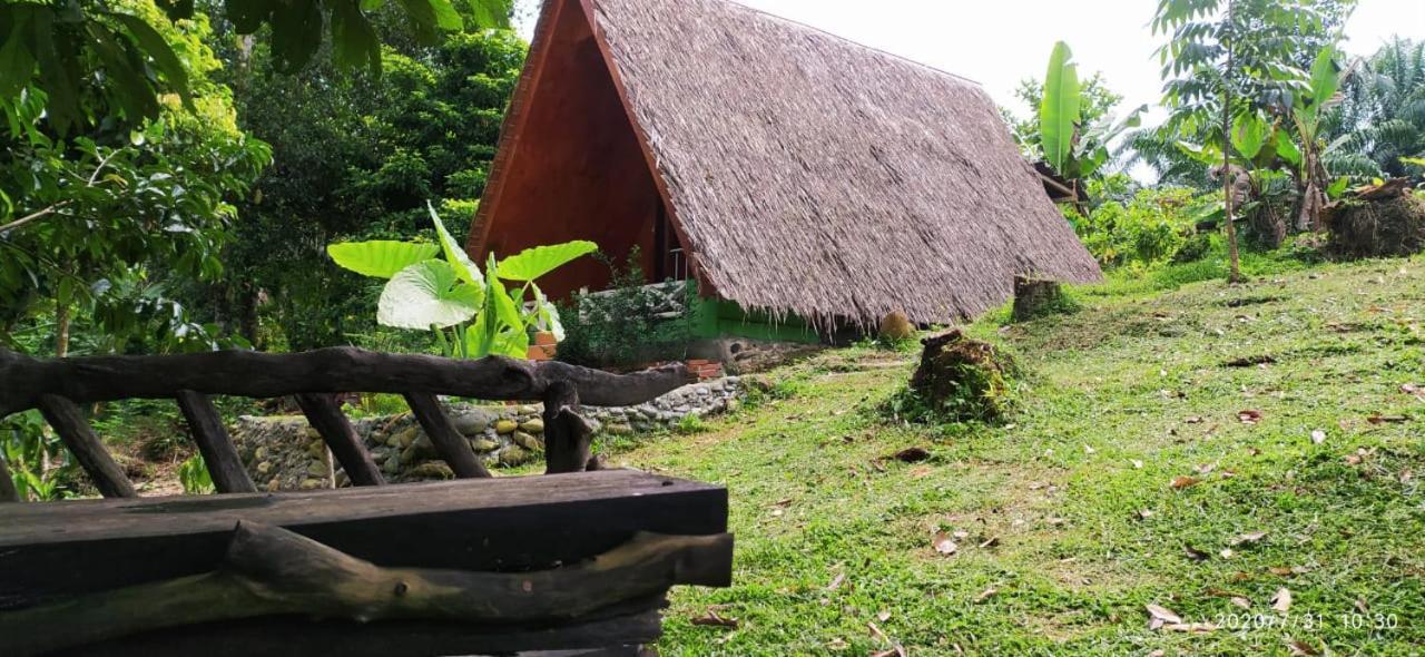 Green Forest Tangkahan Exterior foto