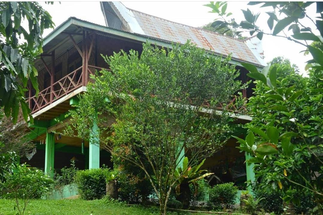 Green Forest Tangkahan Habitación foto