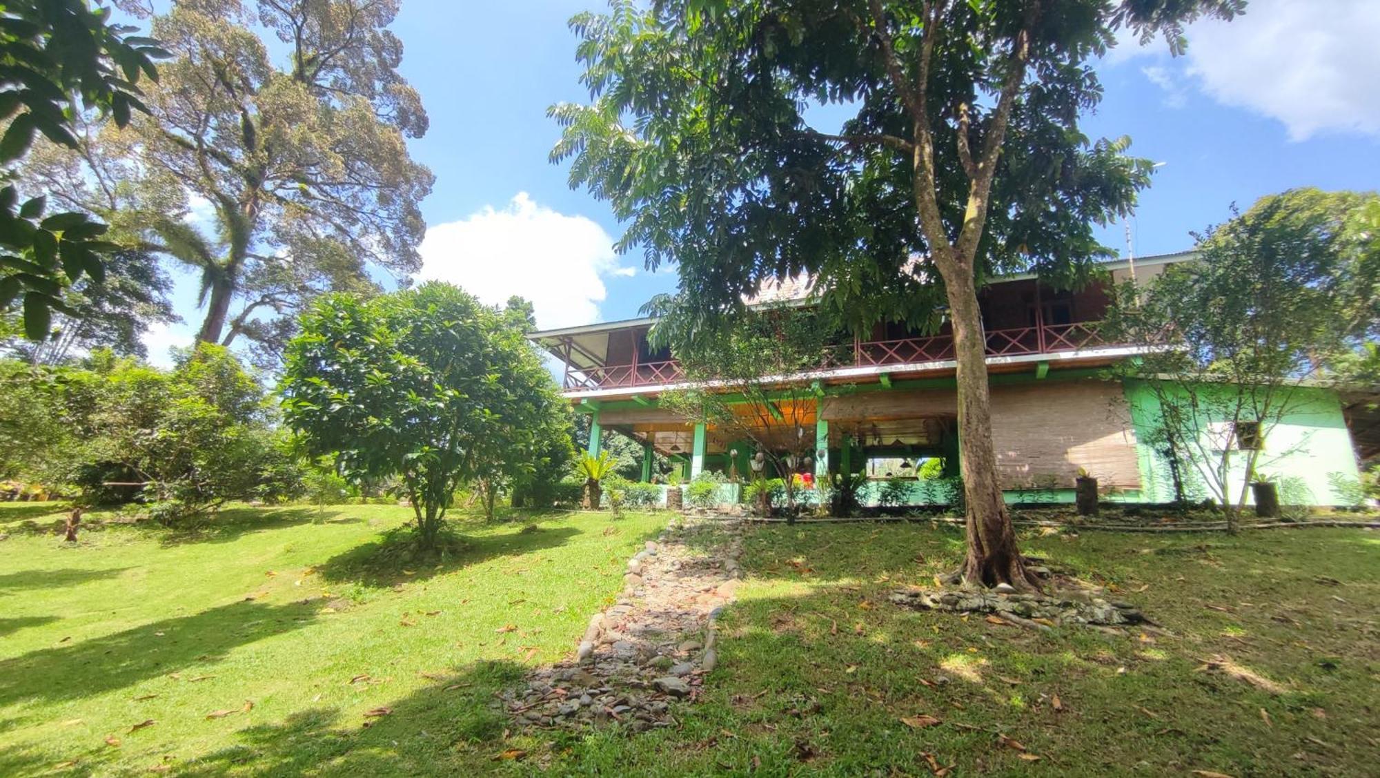 Green Forest Tangkahan Habitación foto