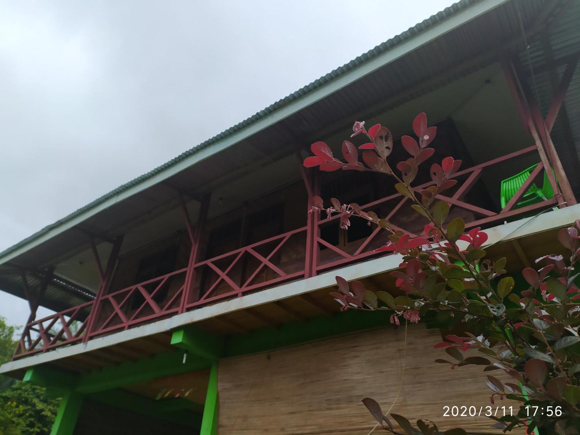 Green Forest Tangkahan Habitación foto