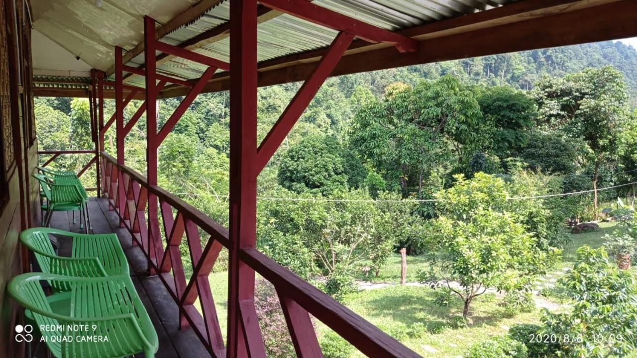 Green Forest Tangkahan Habitación foto