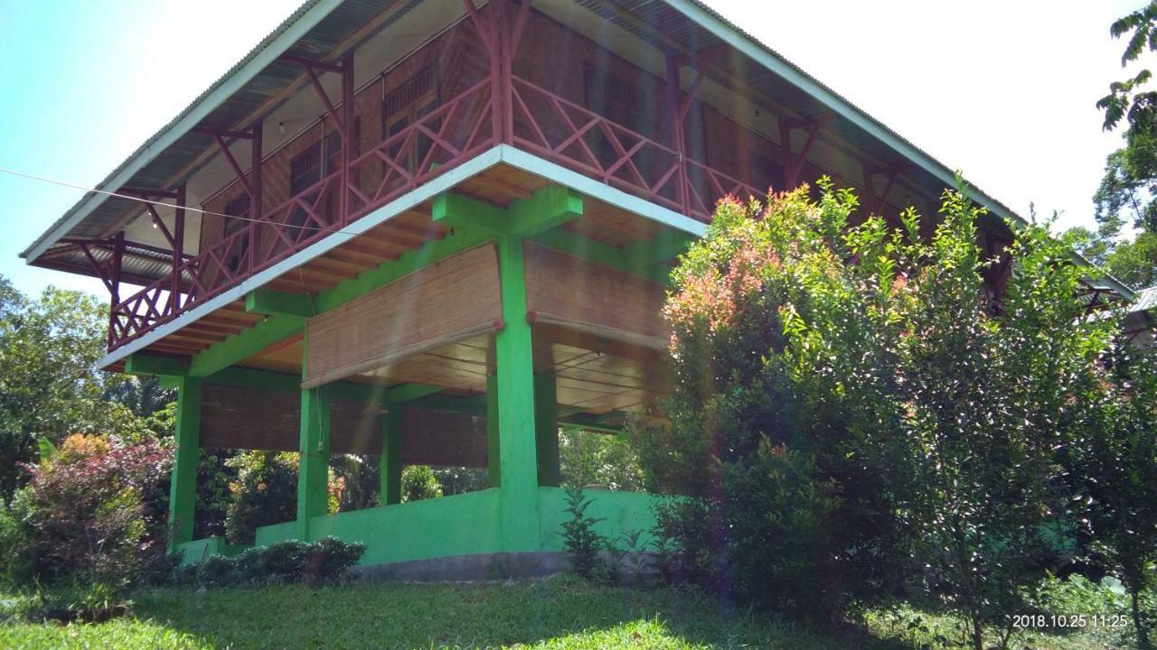 Green Forest Tangkahan Exterior foto