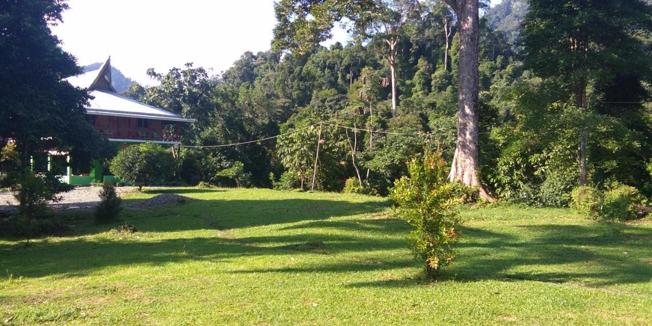 Green Forest Tangkahan Exterior foto